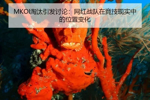 MKOI淘汰引发讨论：网红战队在竞技现实中的位置变化